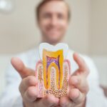 How Much Does a Root Canal Cost in Ahwatukee, Phoenix