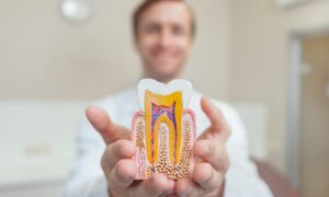 How Much Does a Root Canal Cost in Ahwatukee, Phoenix
