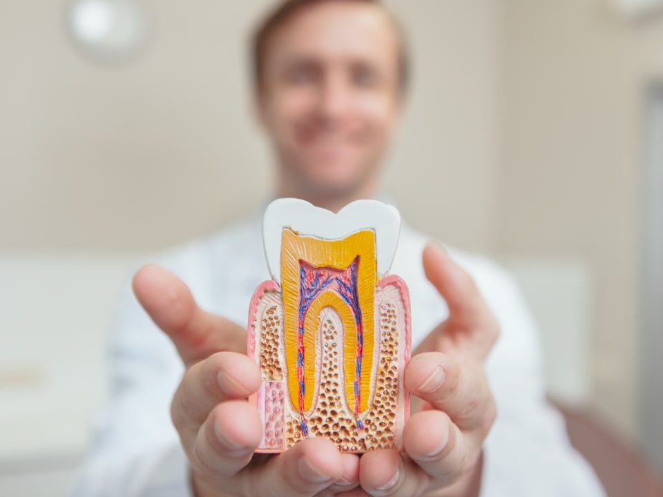 How Much Does a Root Canal Cost in Ahwatukee, Phoenix